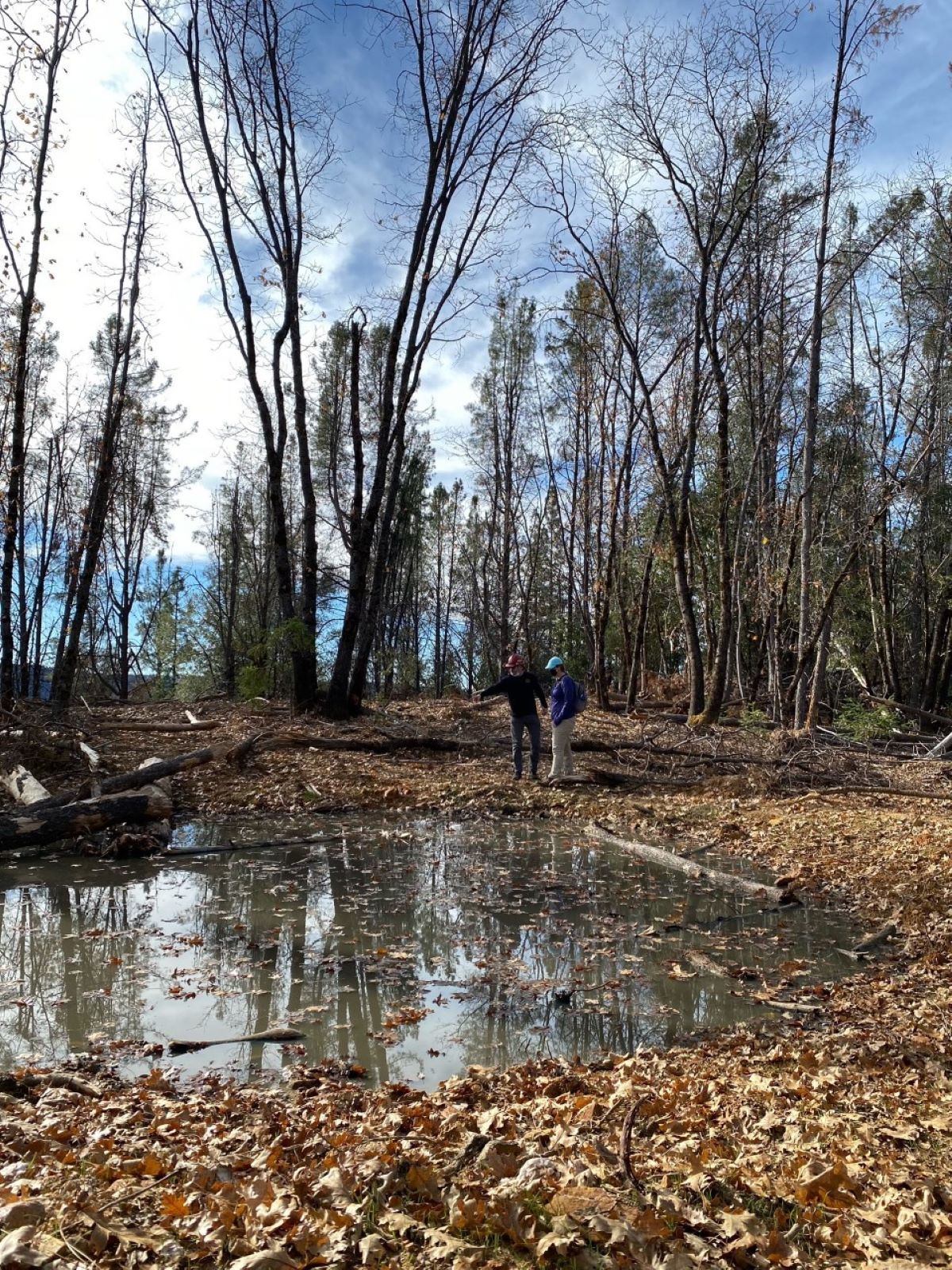 Frog Ponds on Tahoe National Forest FWS.gov